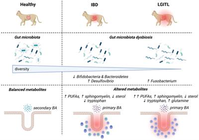 Gut microbiota in cats with inflammatory bowel disease and low-grade intestinal T-cell lymphoma